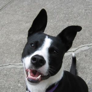 Meet your Posher, Catherine